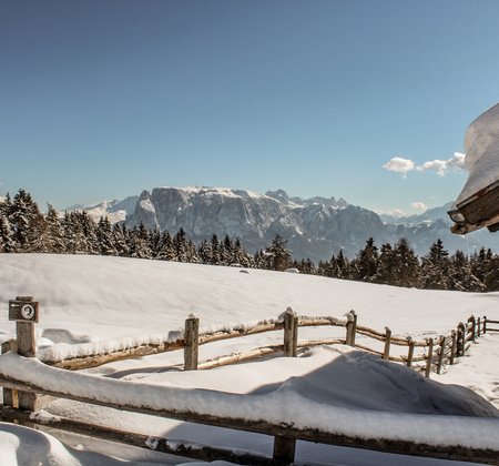 Tobogganing